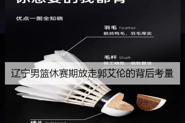辽宁男篮休赛期放走郭艾伦的背后考量