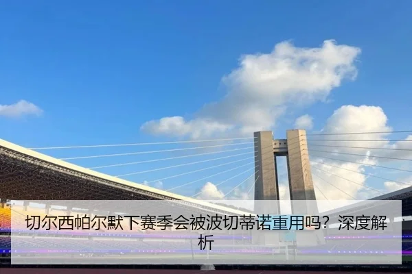 切尔西帕尔默下赛季会被波切蒂诺重用吗？深度解析